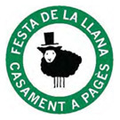 XLVII Festa de la Llana i del Casament a Pag�s a Ripoll