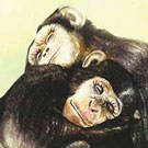 A la selva